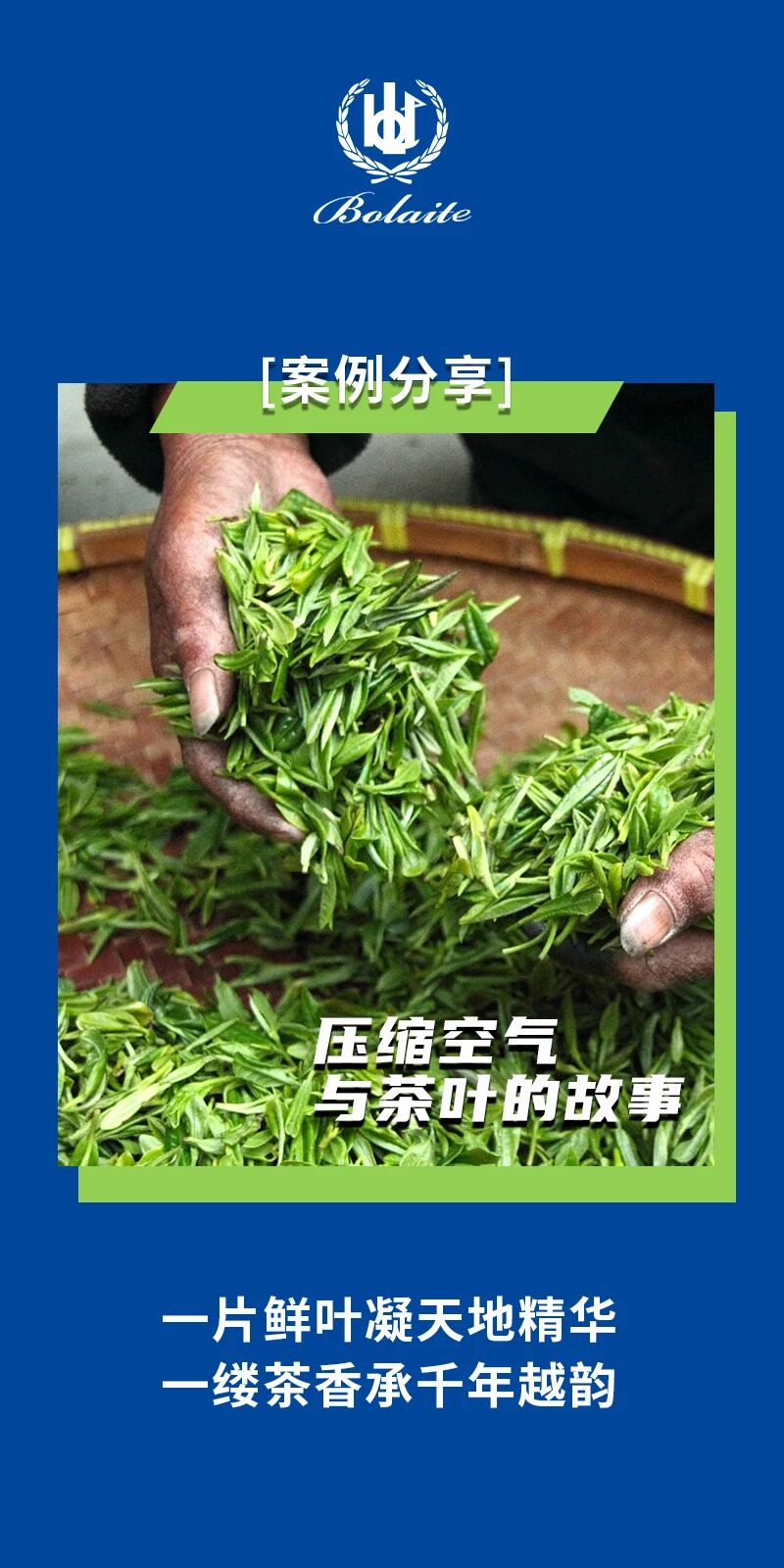 上海博莱特空压机官网 上海博莱特空压机官网